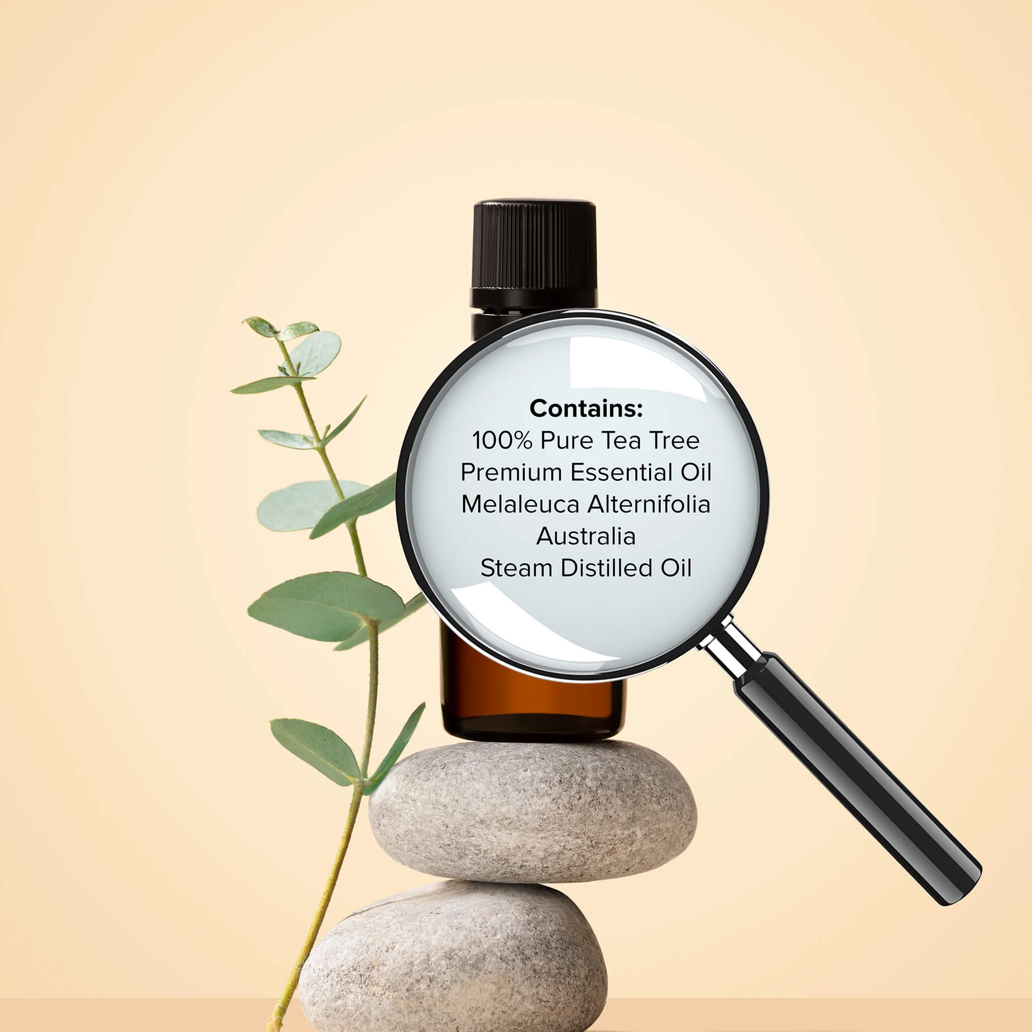 Tea Tree Oil - Image 3